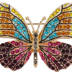 Napier Rainbow Butterfly Pin