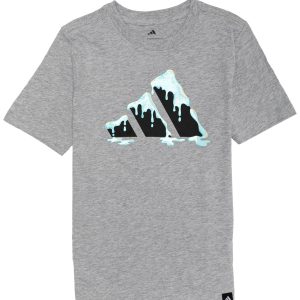 Adidas Big Boys Logo Graphic T-Shirt