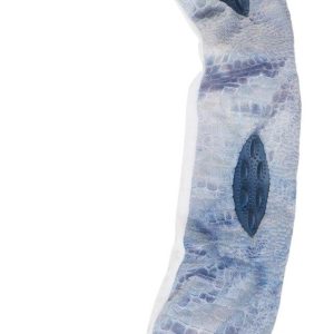 Smithsonian 42 in Longamals Shark Squeak Crinkle Dog Toy