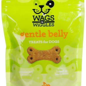 Wags & Wiggles 5 OZ Pumkin Flavor & Biscuit Dog Treat