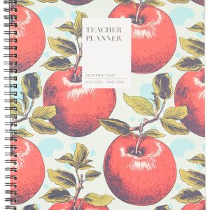TF Publishing Teacher and Home School Lesson Planner Book